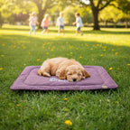 Hundedecke mit Applikation „Dog“